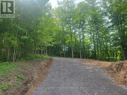12577 LOYALIST PARKWAY NE Prince Edward County (Hallowell Ward), ON K0K 2T0
