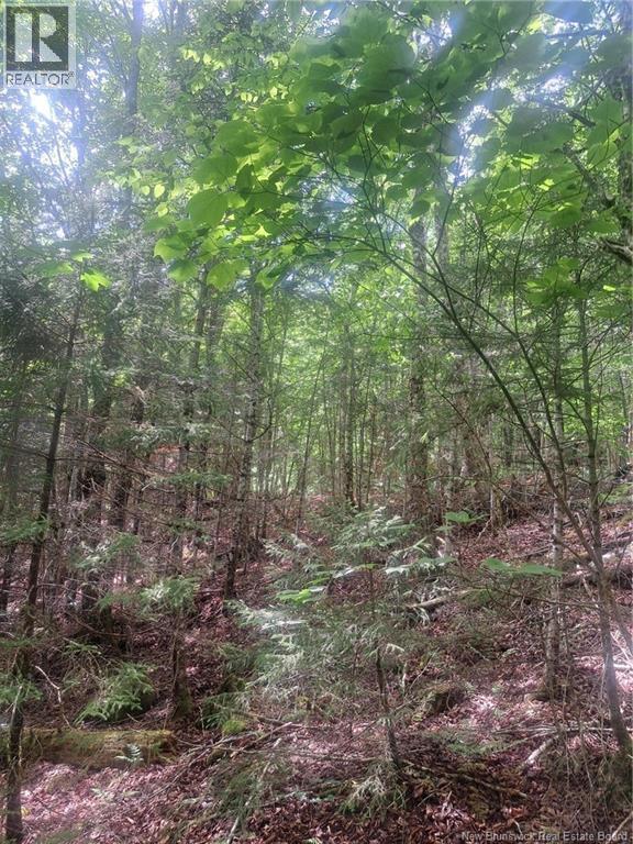 0 Pattersonsiding/Town Plot Road, St. Martins, NB