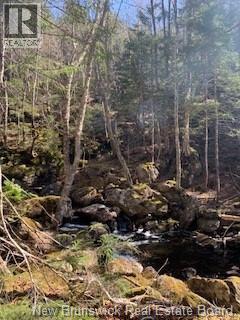 0 Town Plot Road, St. Martins, NB