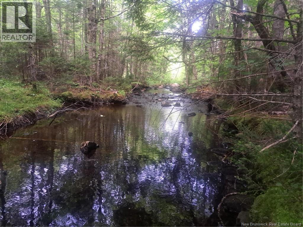 0 Town Plot Road, St. Martins, NB