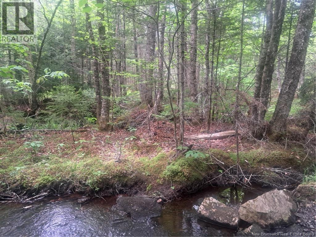0 Town Plot Road, St. Martins, NB