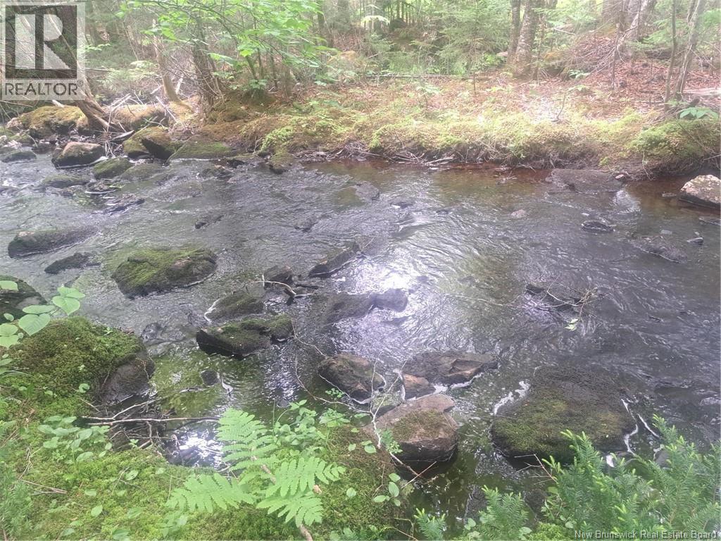0 Town Plot Road, St. Martins, NB