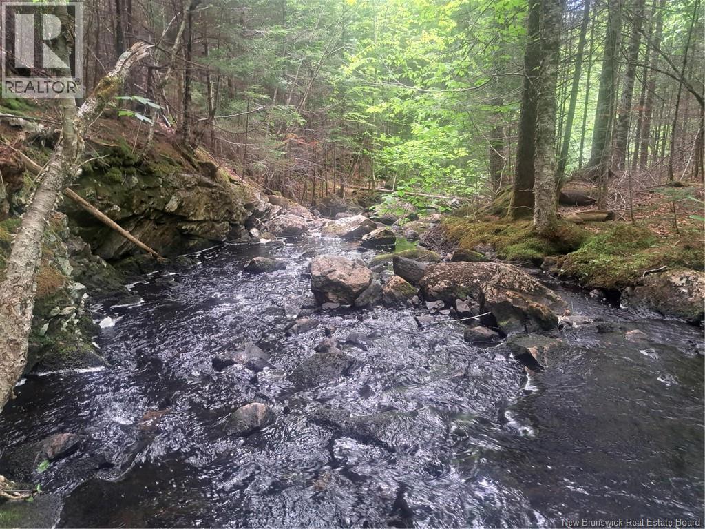 0 Town Plot Road, St. Martins, NB