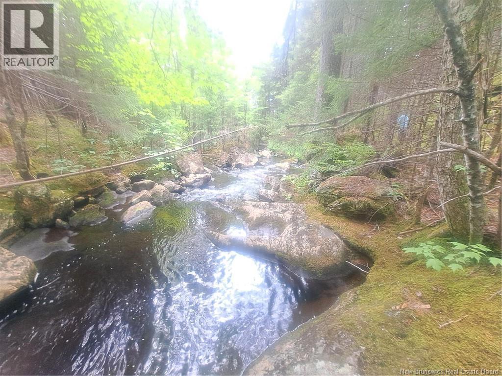0 Town Plot Road, St. Martins, NB