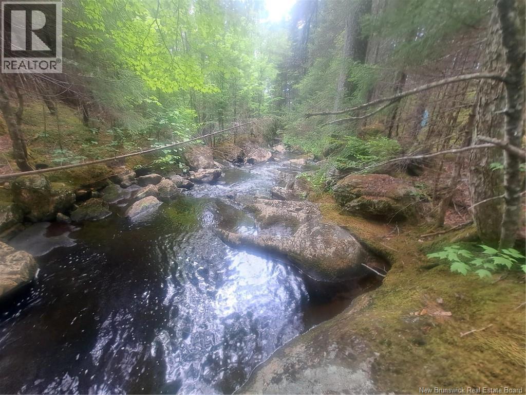 0 Town Plot Road, St. Martins, NB