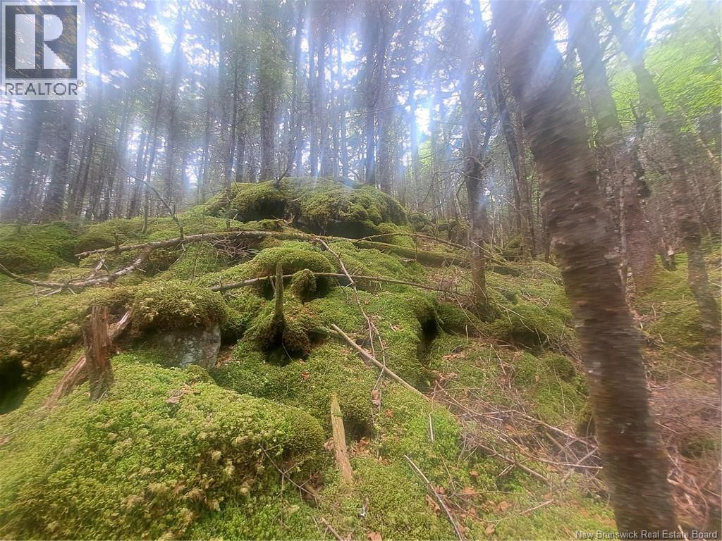 0 Town Plot Road, St. Martins, NB