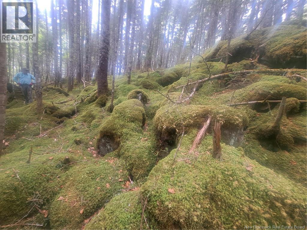 0 Town Plot Road, St. Martins, NB
