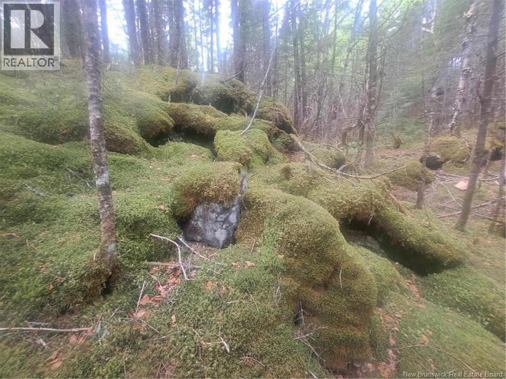 0 Town Plot Road, St. Martins, NB