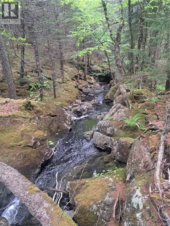 0 Town Plot Road, St. Martins, NB
