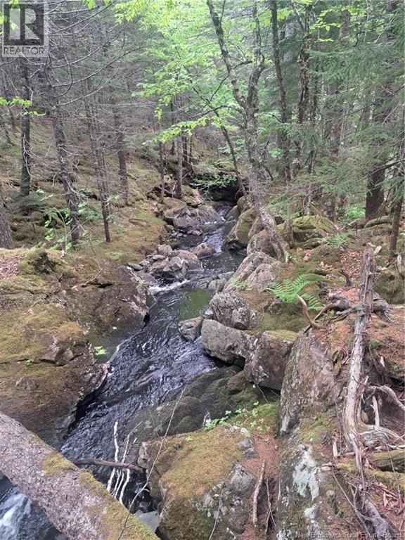0 Town Plot Road, St. Martins, NB