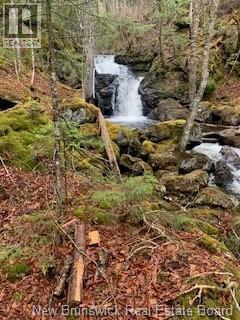 0 Town Plot Road, St. Martins, NB