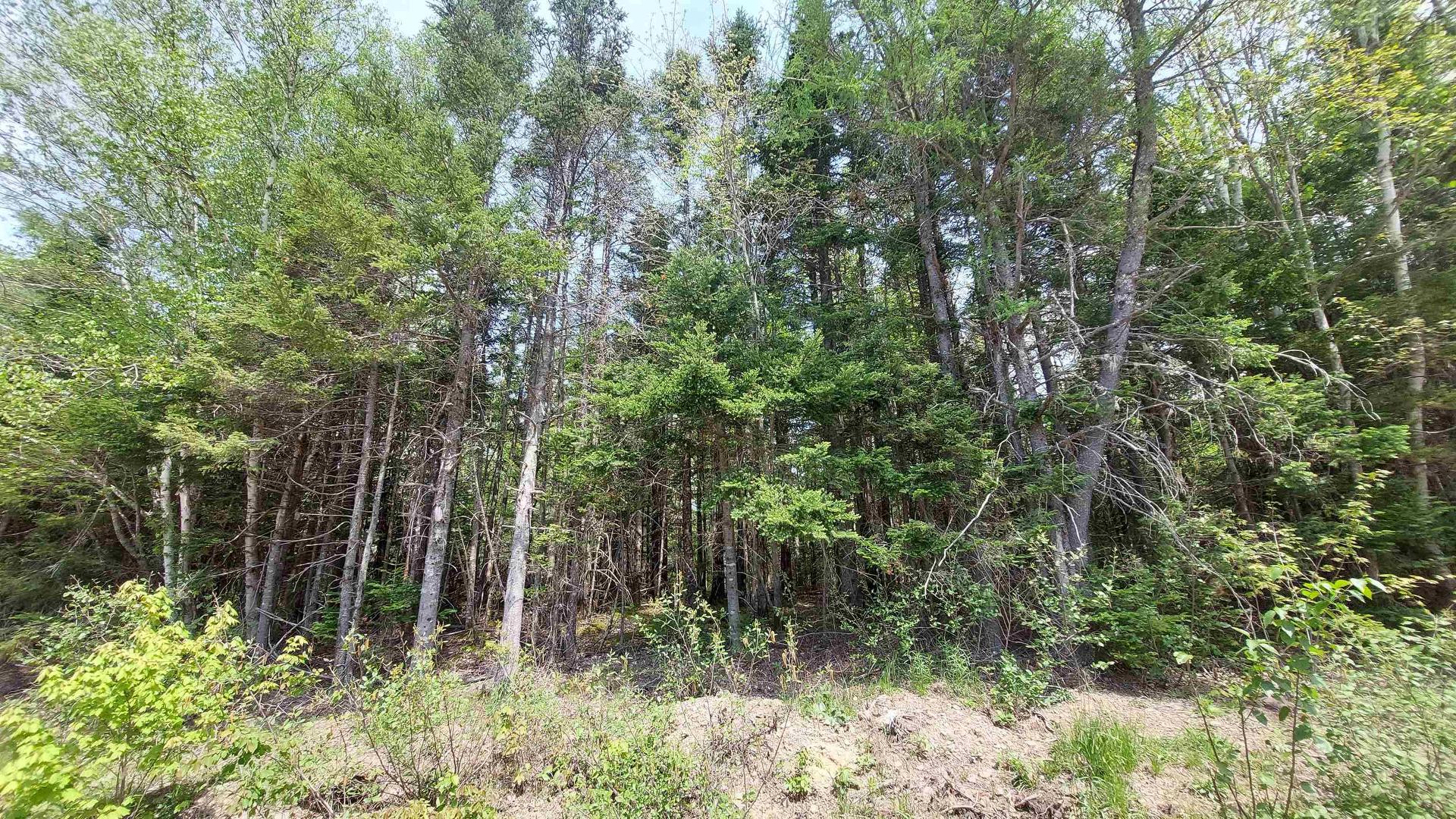Lot 14 Walkerville Rd, Walkerville, NS