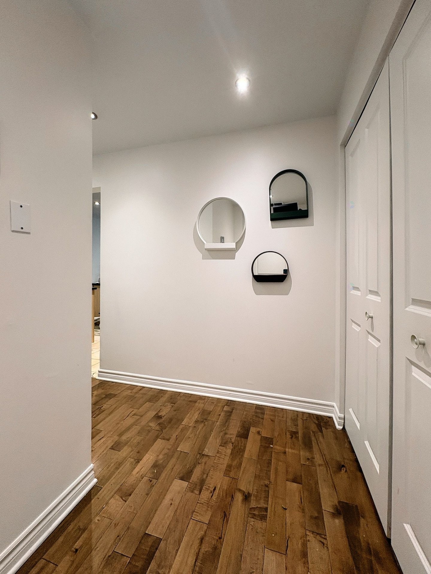 Hall d'entrée/Vestibule - 203-1101 Rue Des Carrières, Montréal (Rosemont/La Petite-Patrie), QC