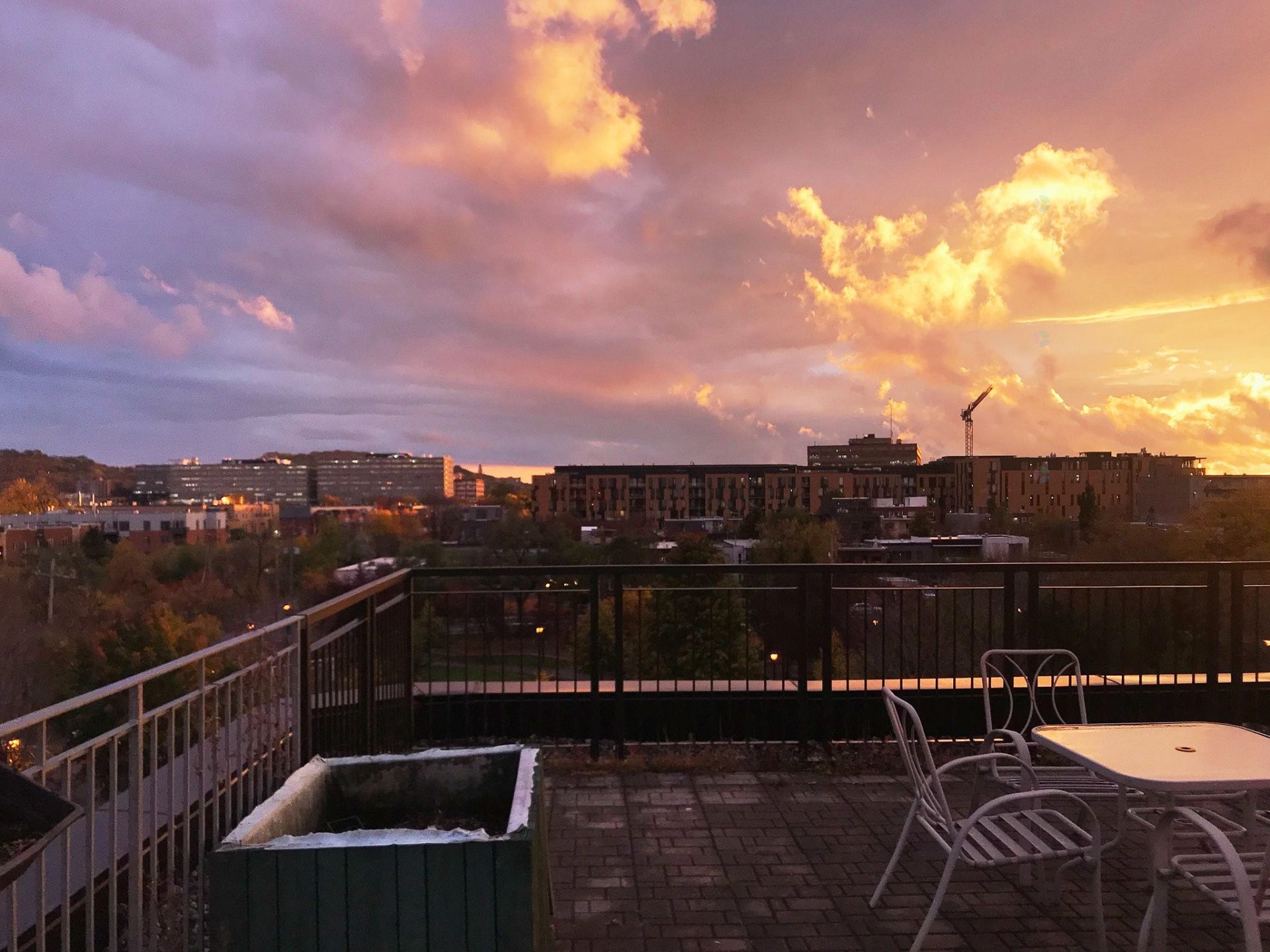 Vue - 203-1101 Rue Des Carrières, Montréal (Rosemont/La Petite-Patrie), QC