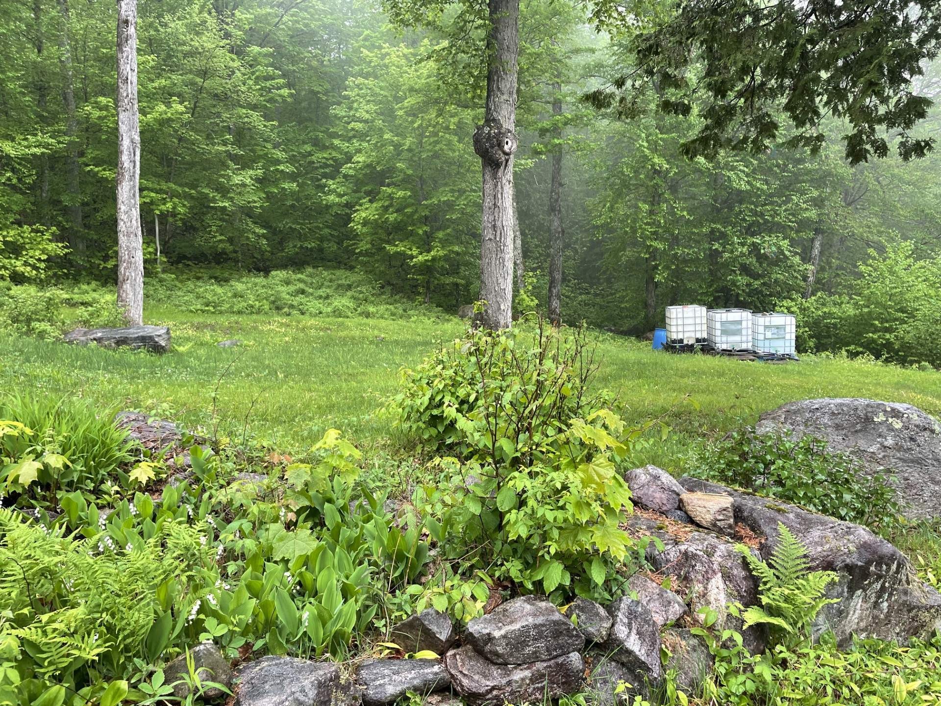 Exterior - 13 Ch. Du Lac-Des-Cornes, Chute-Saint-Philippe, QC