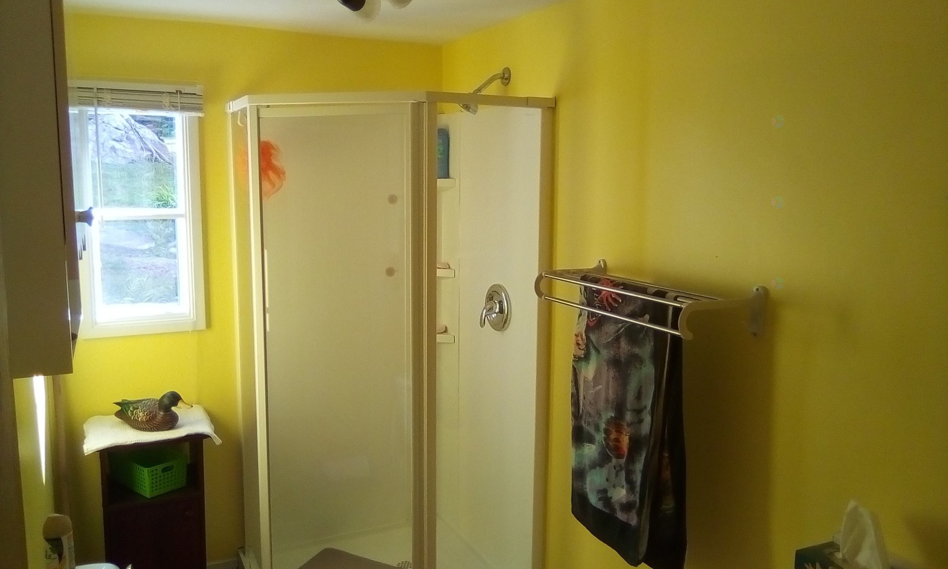 Powder room - 13 Ch. Du Lac-Des-Cornes, Chute-Saint-Philippe, QC
