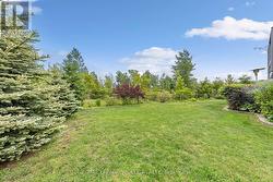 Landscaped back yard. - 