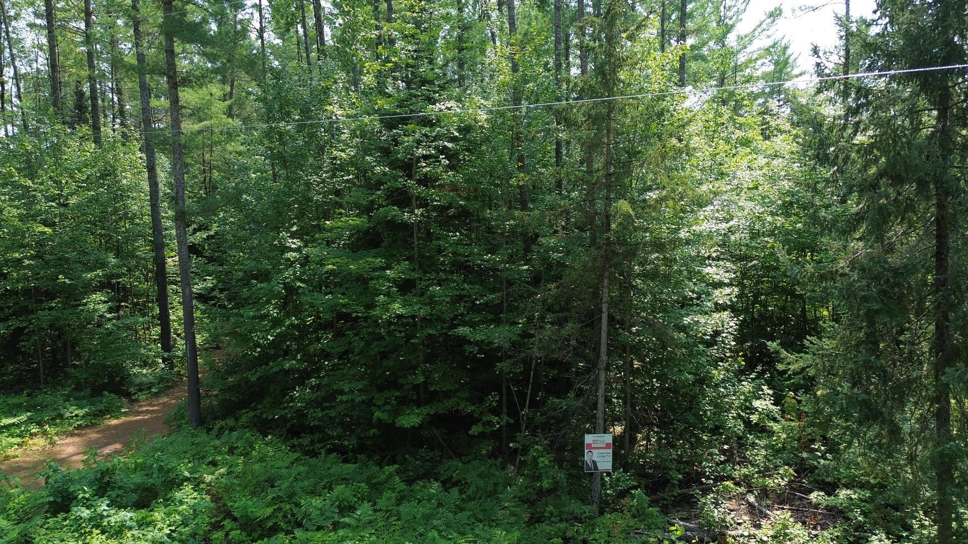 Terre/Terrain - Ch. De L'Opale, Notre-Dame-Du-Laus, QC
