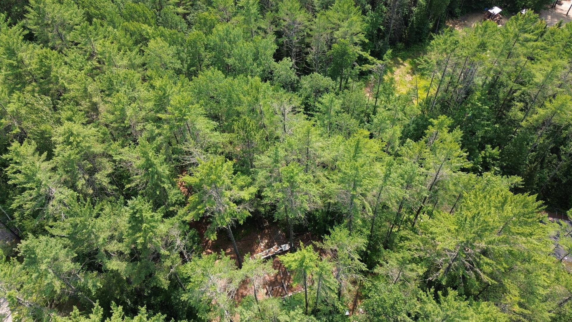 Terre/Terrain - Ch. De L'Opale, Notre-Dame-Du-Laus, QC