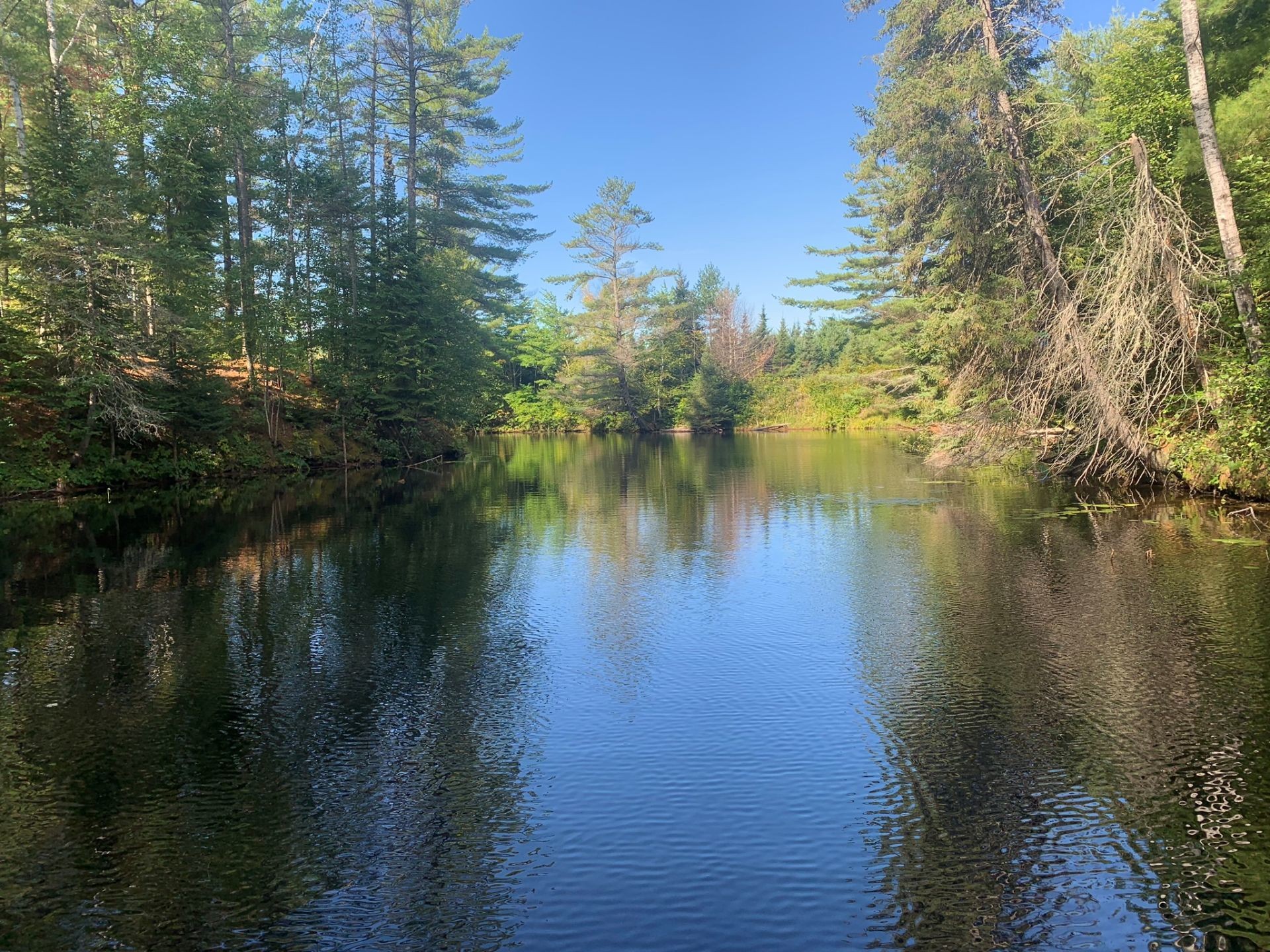 Accès au plan d'eau - Ch. De L'Opale, Notre-Dame-Du-Laus, QC