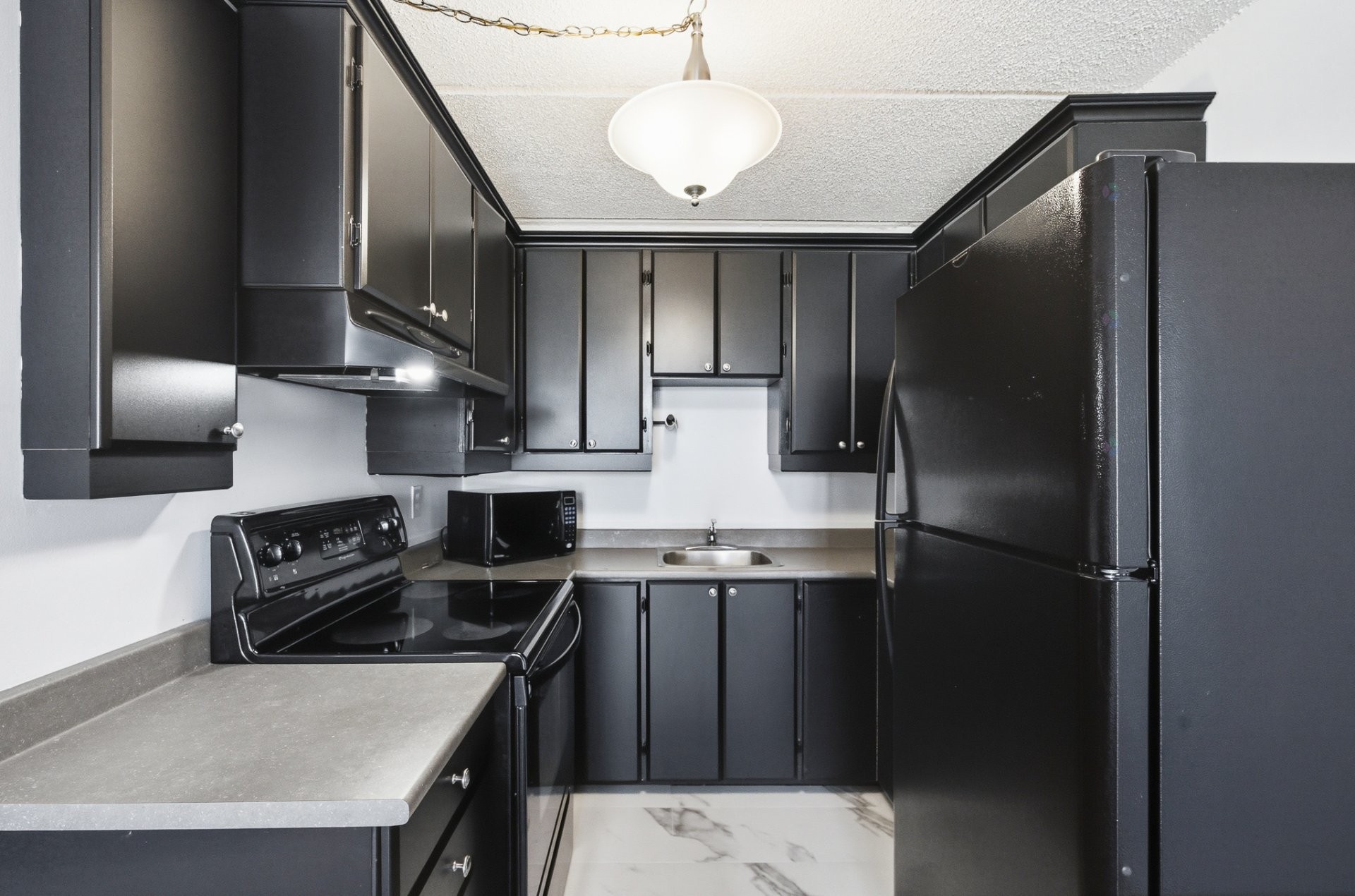 Kitchen - 407-450 Boul. Wilfrid-Lavigne, Gatineau (Aylmer), QC