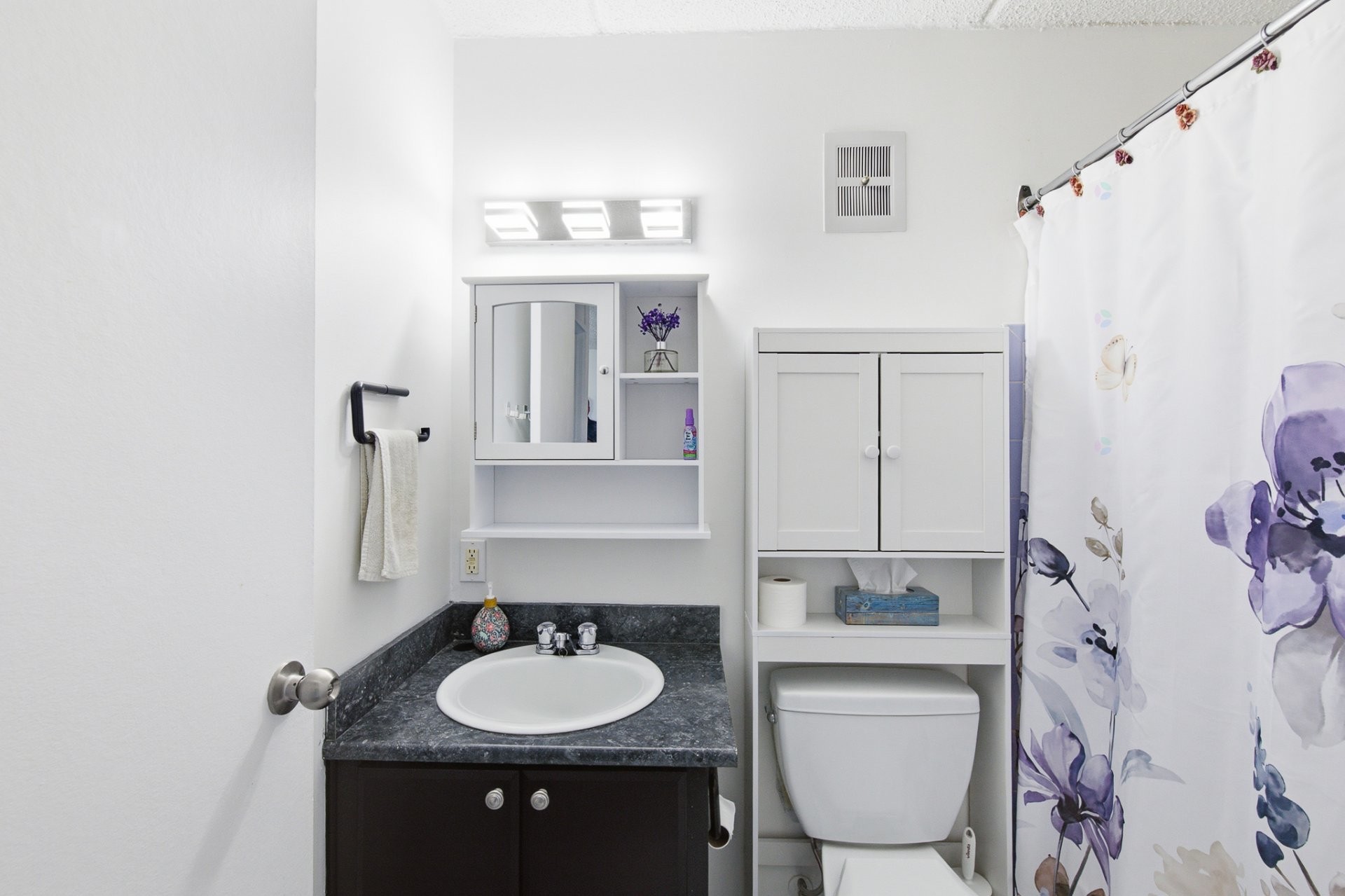 Bathroom - 407-450 Boul. Wilfrid-Lavigne, Gatineau (Aylmer), QC