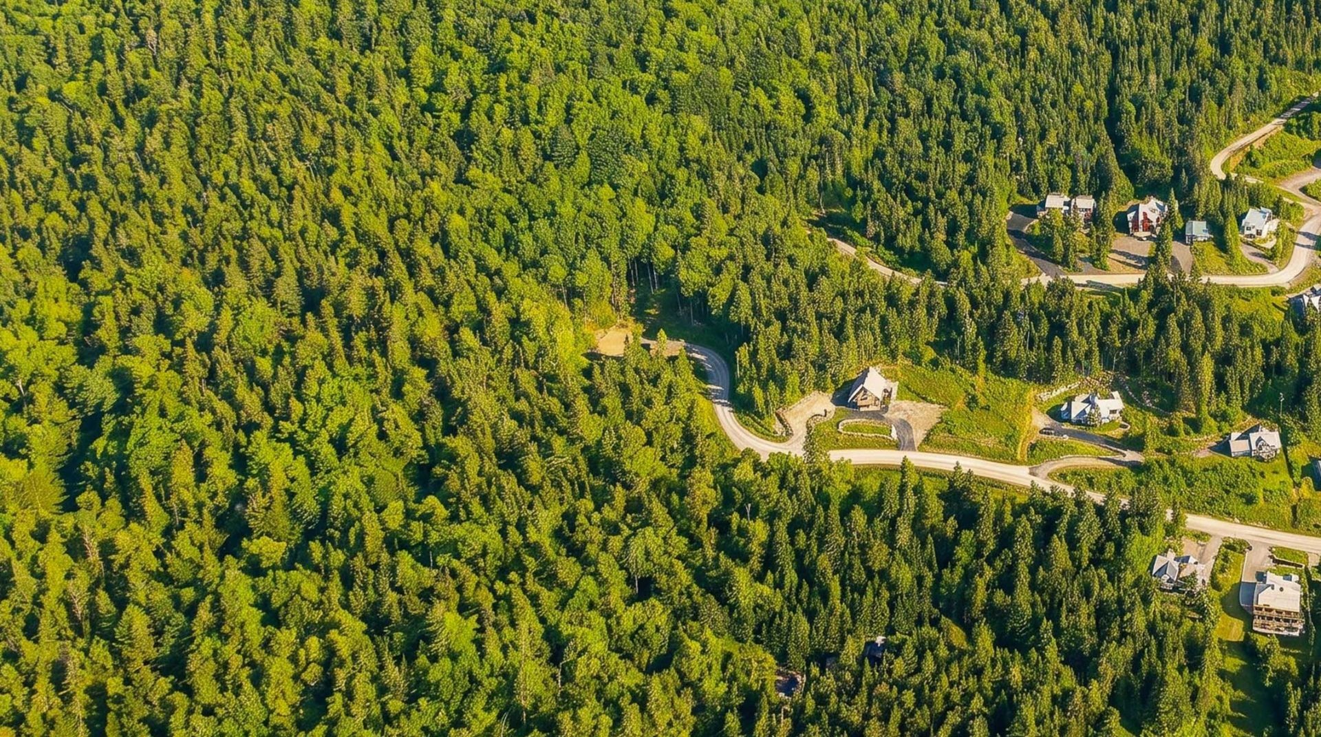 Photo aérienne - Rue Des Albatros, Saint-Côme, QC
