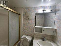 Image quality insufficient for description -