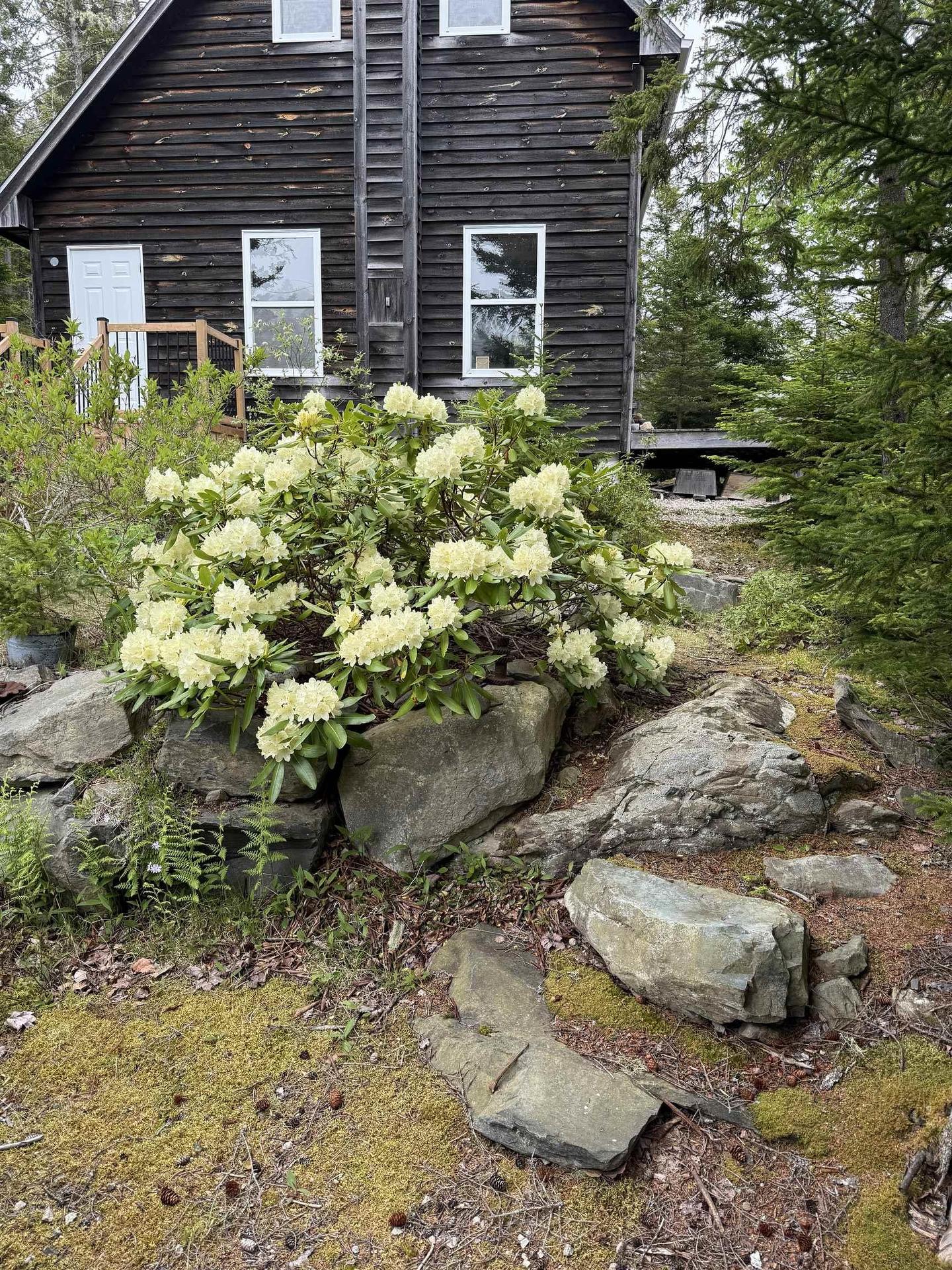 36 Saddle Island Road, Bayswater, NS