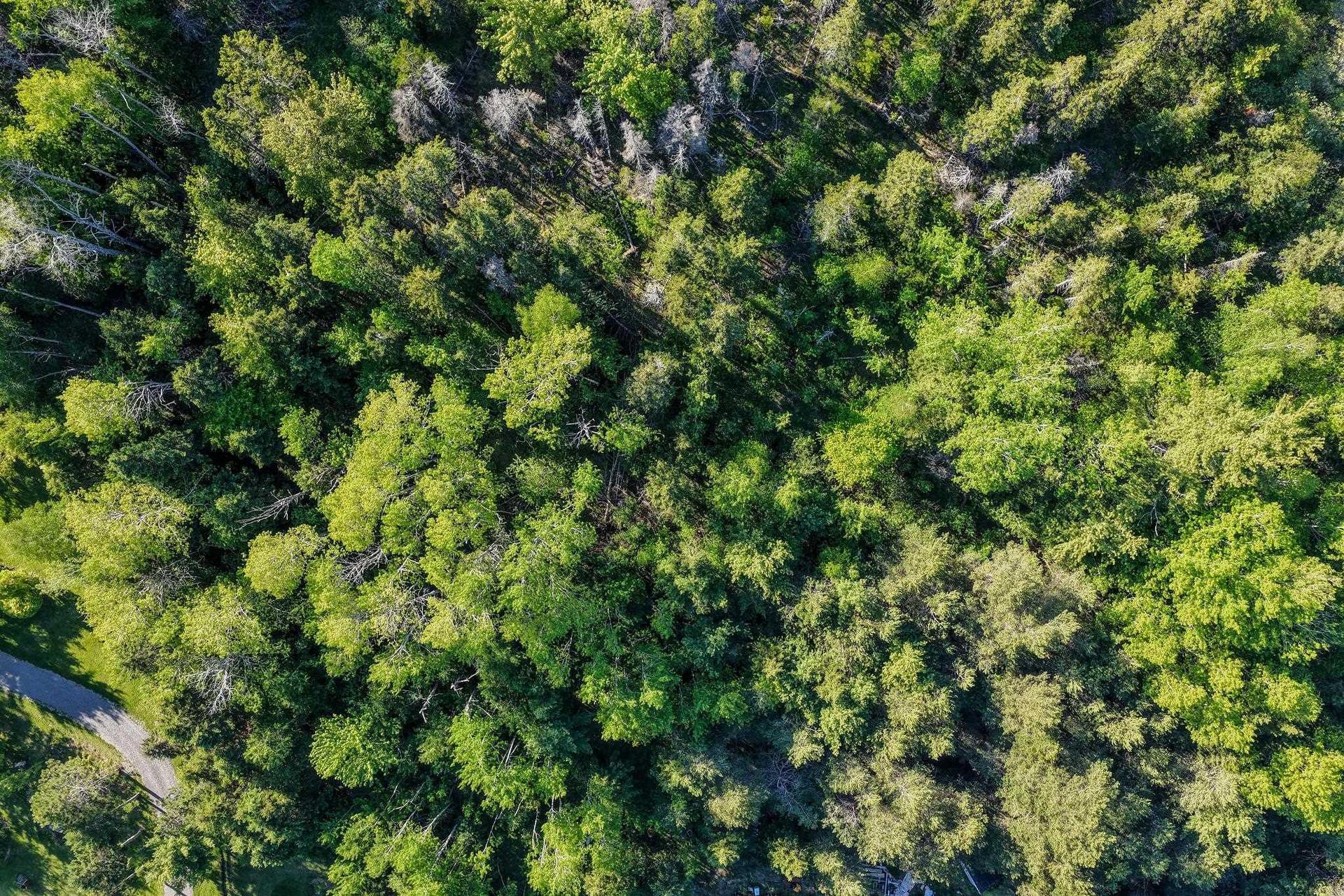 Coxheath Road, Blacketts Lake, NS
