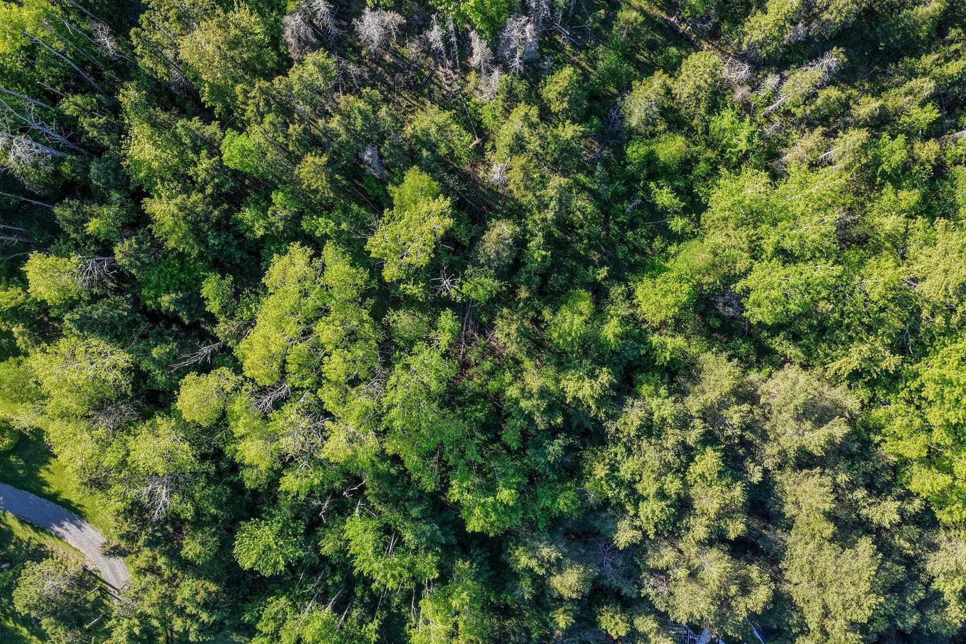 Coxheath Road, Blacketts Lake, NS