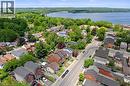 Residential properties featuring varied architectural styles and dark shingle roofing, set amidst mature green trees - 193 Locke Street N, Hamilton, ON  - Outdoor With Body Of Water With View 