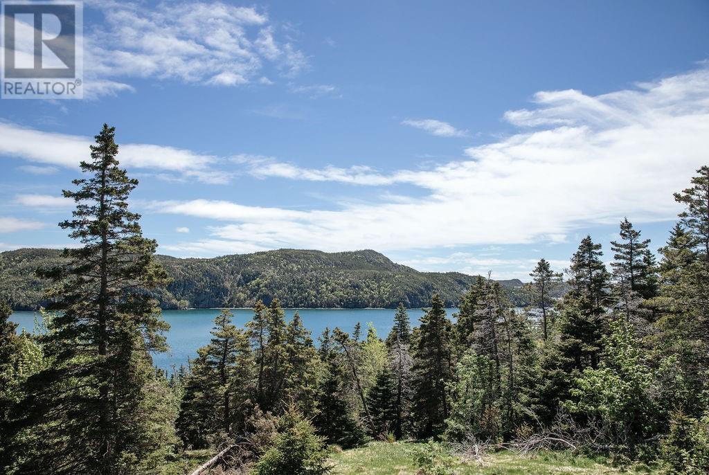 24 Cabot Lane, Jerseyside, NL