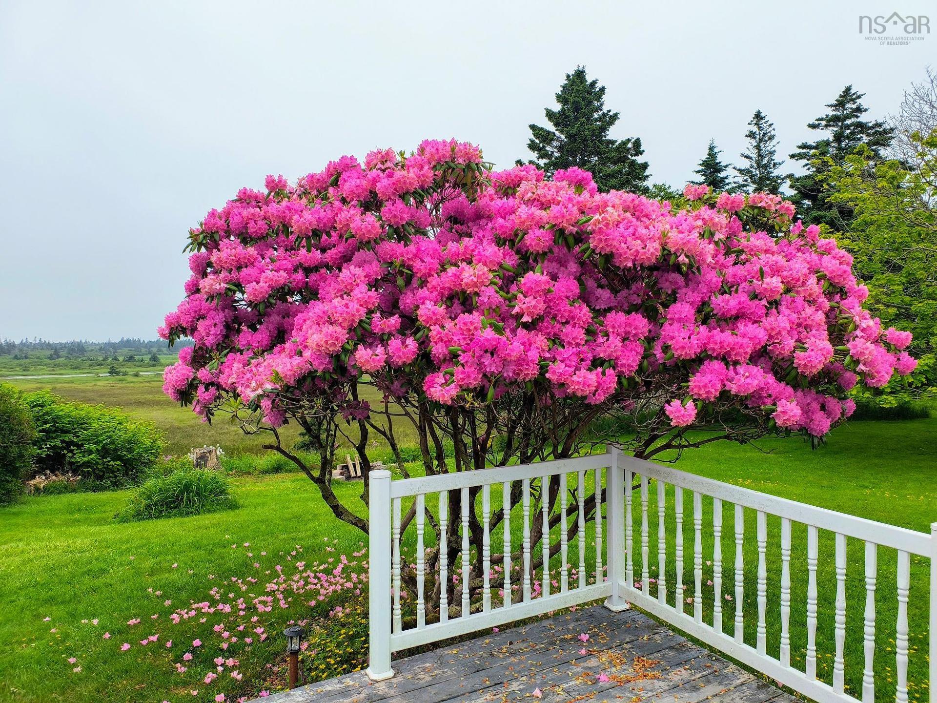 108 Highway 304, Overton, NS - Outdoor
