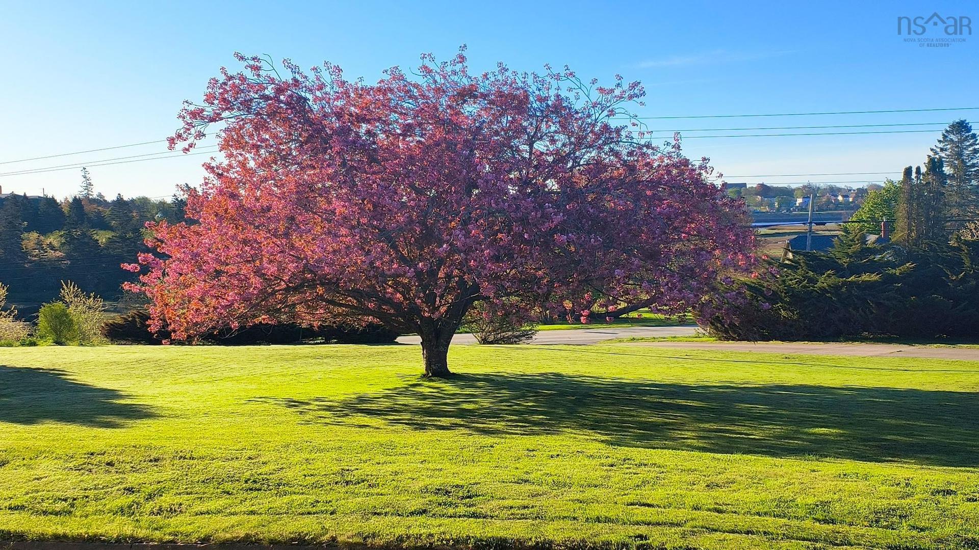 108 Highway 304, Overton, NS - Outdoor With View