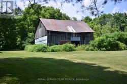 Barn -