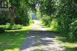 Driveway -