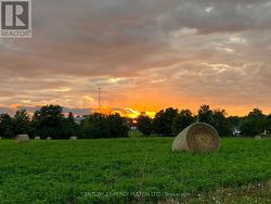1259 COUNTY 19 ROAD Prince Edward County, ON K0K 1T0