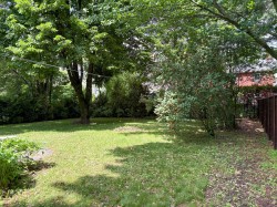 Courtyard -