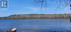 LOT 11 CATFISH LAKE ROAD Wawa, ON P0S 1K0