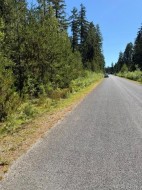 Lot 3 Palmer Rd Errington, BC V0R 1M0