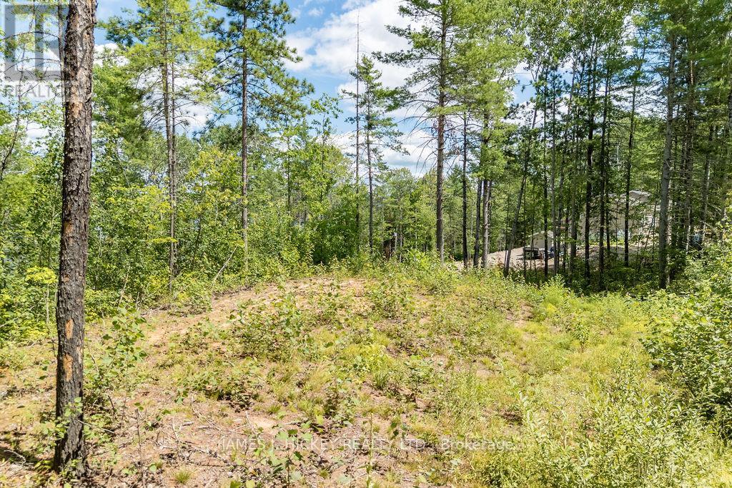 00 Mcanulty Road, Deep River, ON