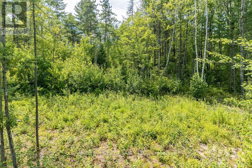 00 Mcanulty Road, Deep River, ON