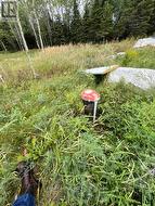 Drilled well -