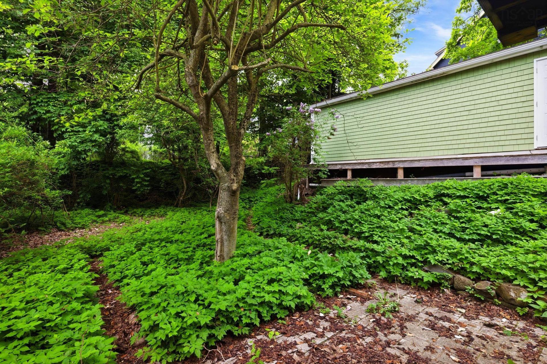 1176 Studley Avenue, Halifax, NS