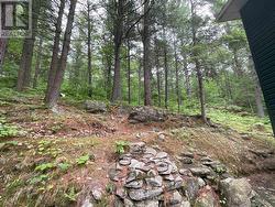 Area behind cottage - 