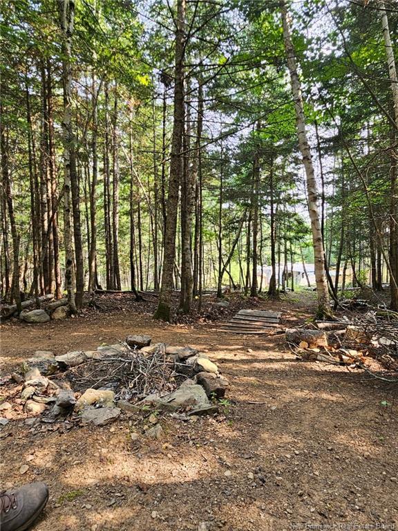6 New Rd, Salt Springs, NB
