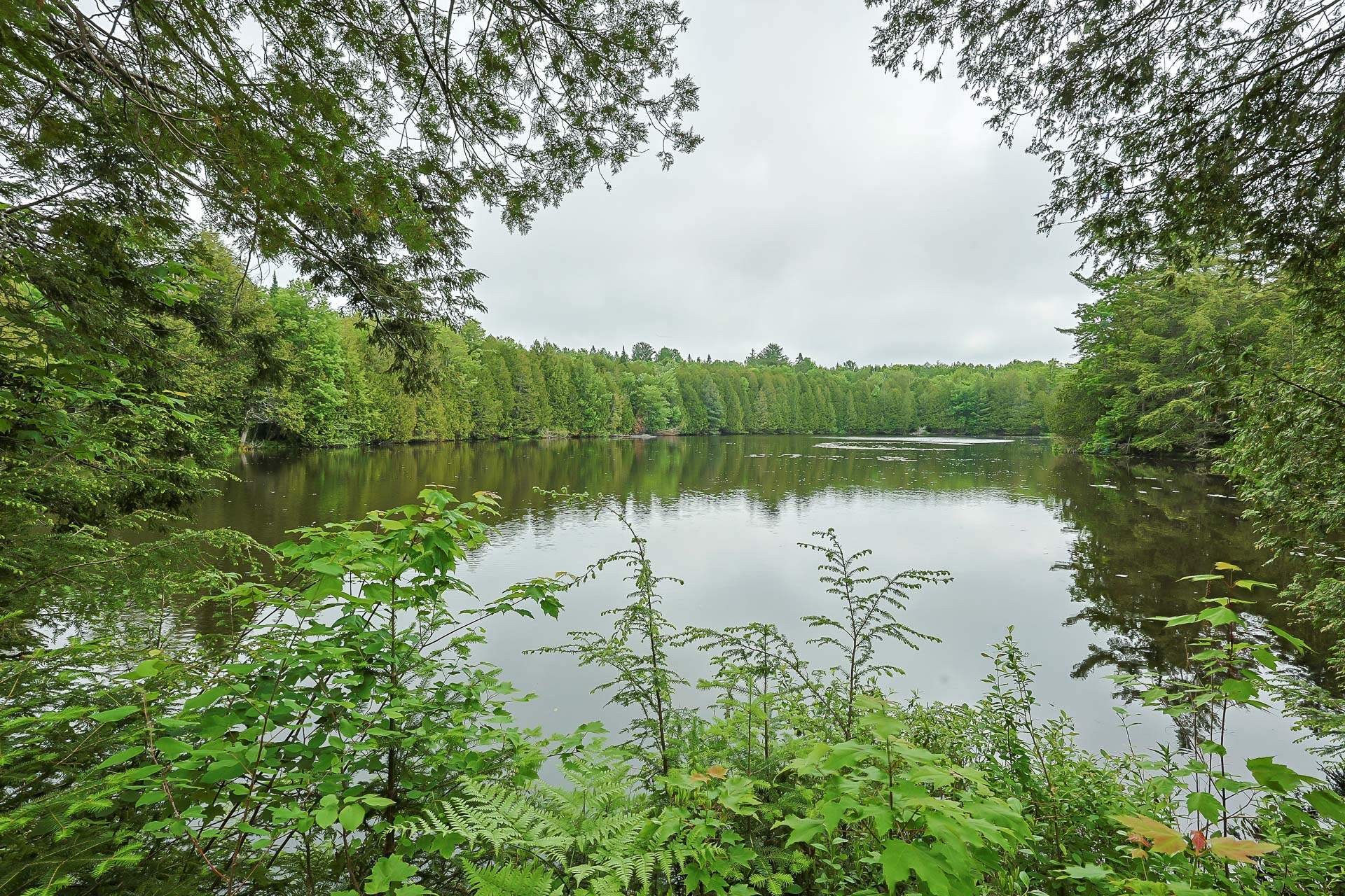 Vue sur l'eau - 24 - 26 Ch. Des Écureuils, Ripon, QC