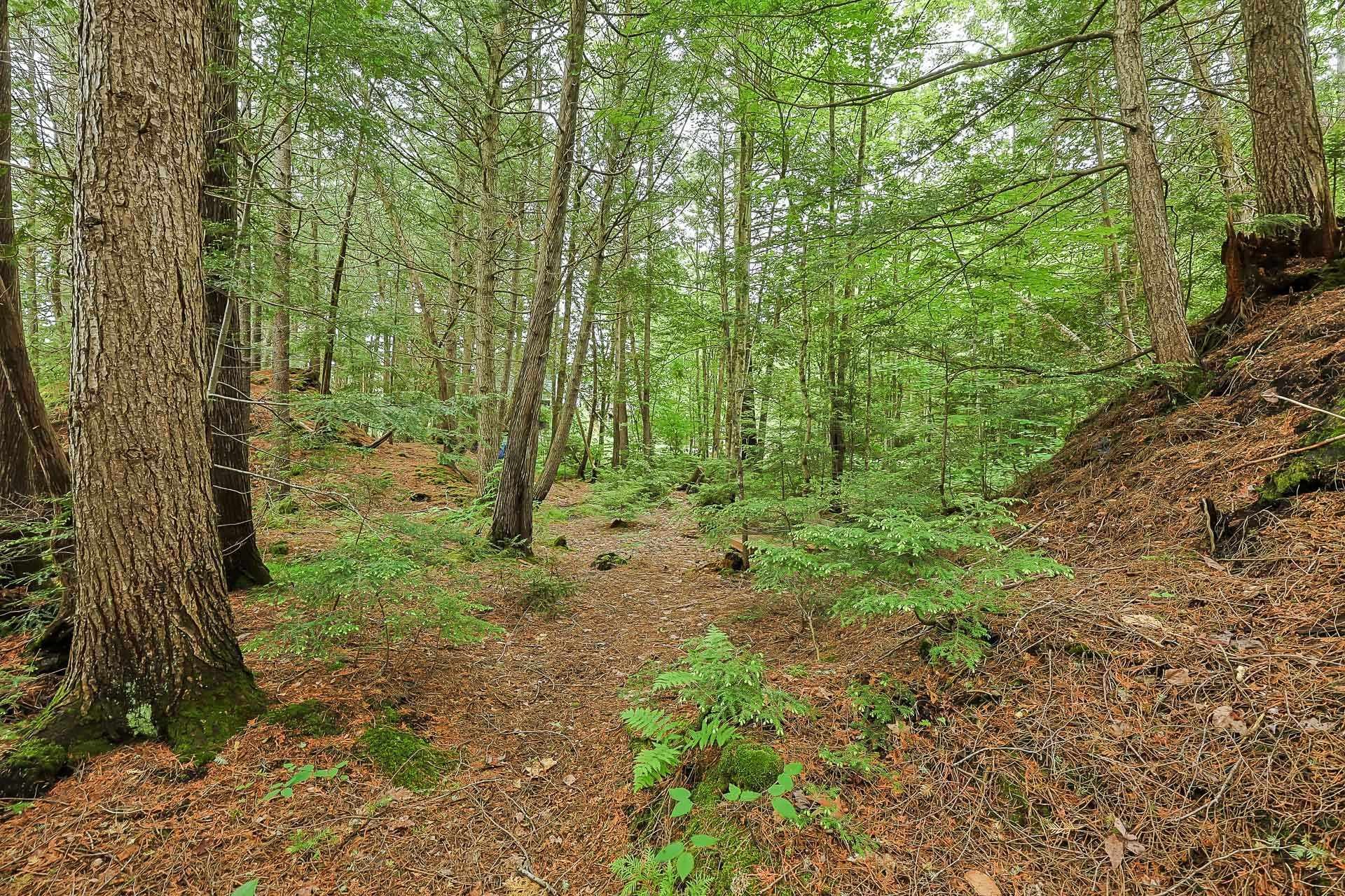 Extérieur - 24 - 26 Ch. Des Écureuils, Ripon, QC