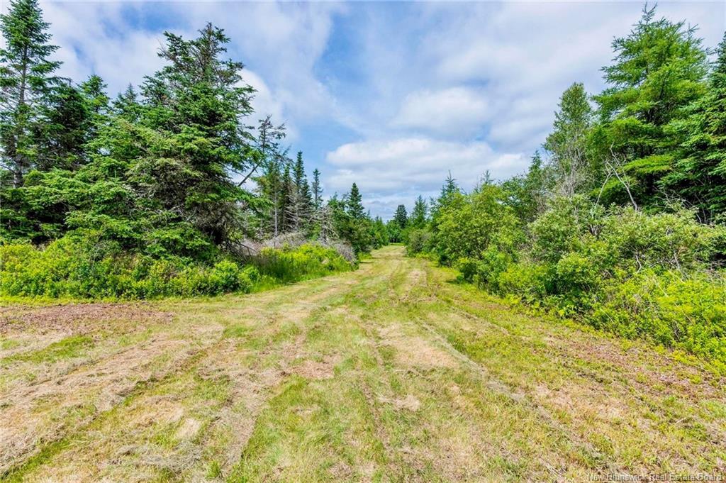2041 Route 960, Upper Cape, NB
